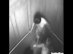 Couple Sex in Elevator Caugh on Cam