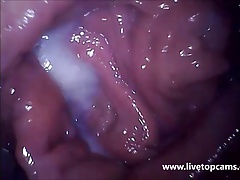 livetopcams.com cam girl orgasm filmed from inside vagina