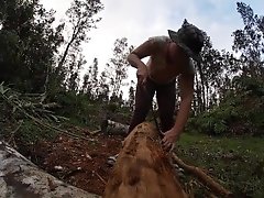 log skinning virgin no more