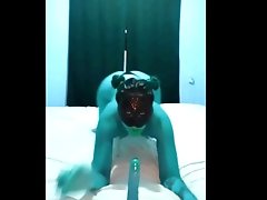 Avatar catwoman in underwear licks and sucks her favorite dildo 👀👅🍆